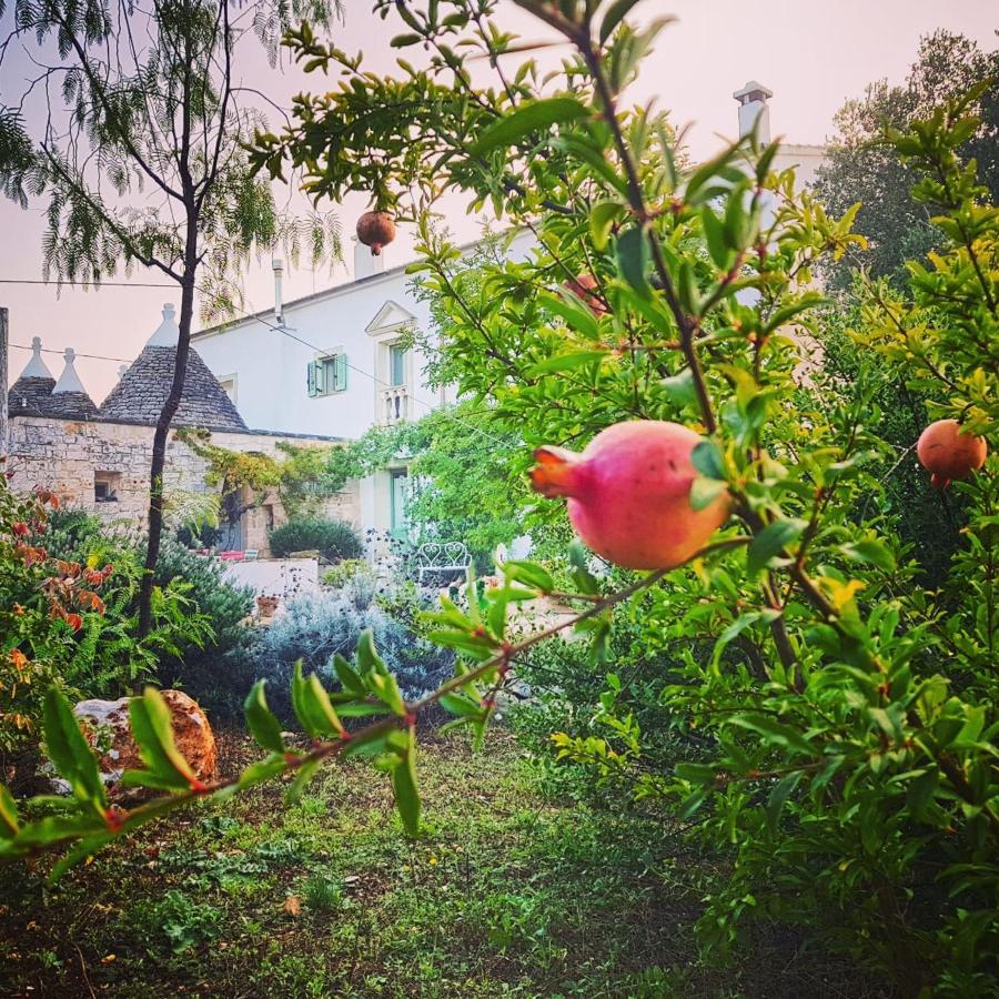 אוסטוני B&B Giovannarolla Green House מראה חיצוני תמונה