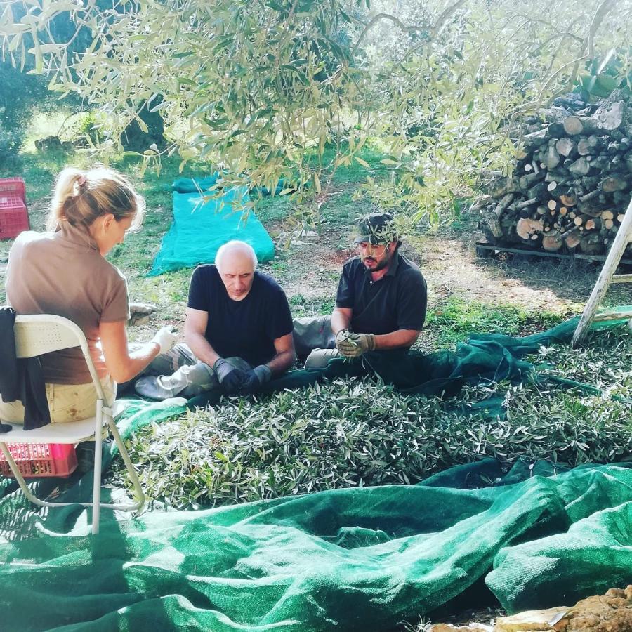 אוסטוני B&B Giovannarolla Green House מראה חיצוני תמונה