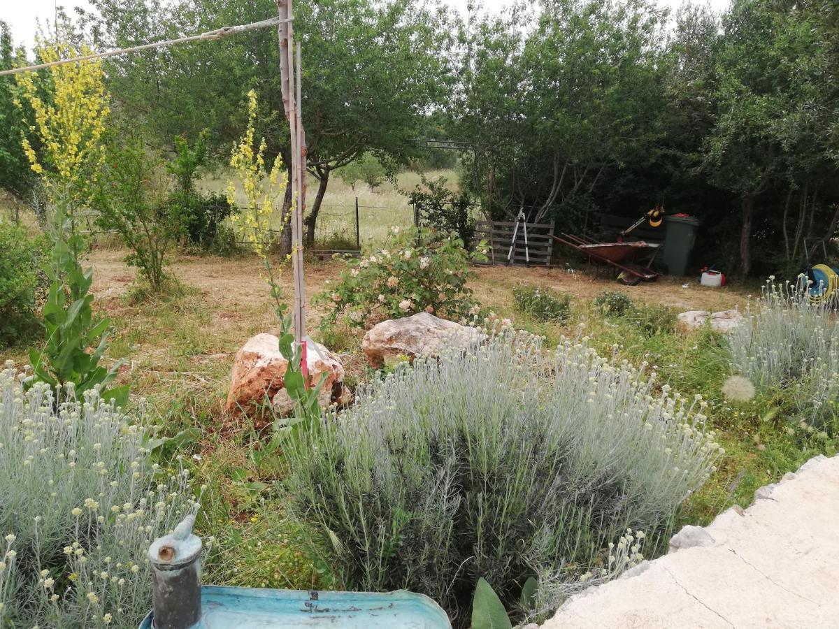 אוסטוני B&B Giovannarolla Green House מראה חיצוני תמונה