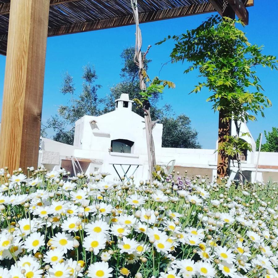 אוסטוני B&B Giovannarolla Green House מראה חיצוני תמונה