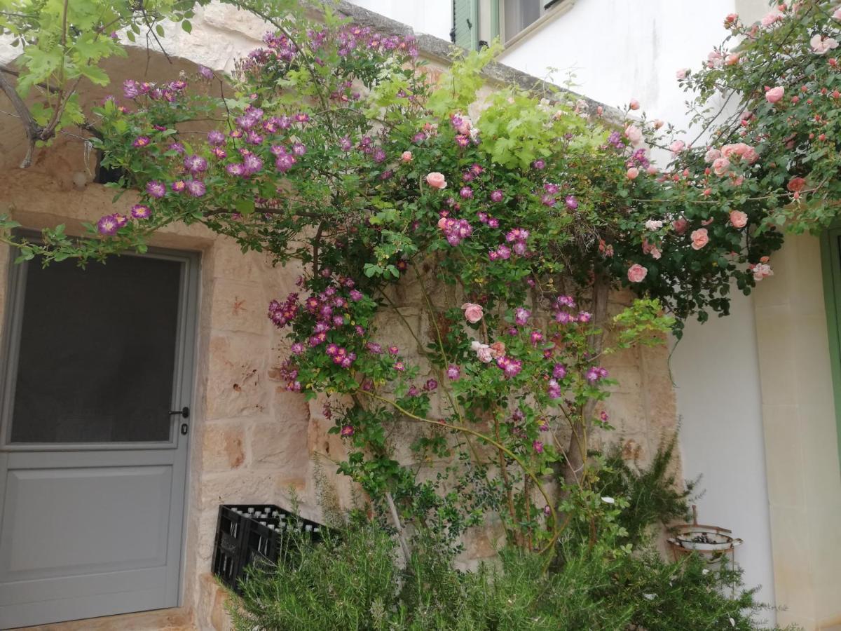 אוסטוני B&B Giovannarolla Green House מראה חיצוני תמונה