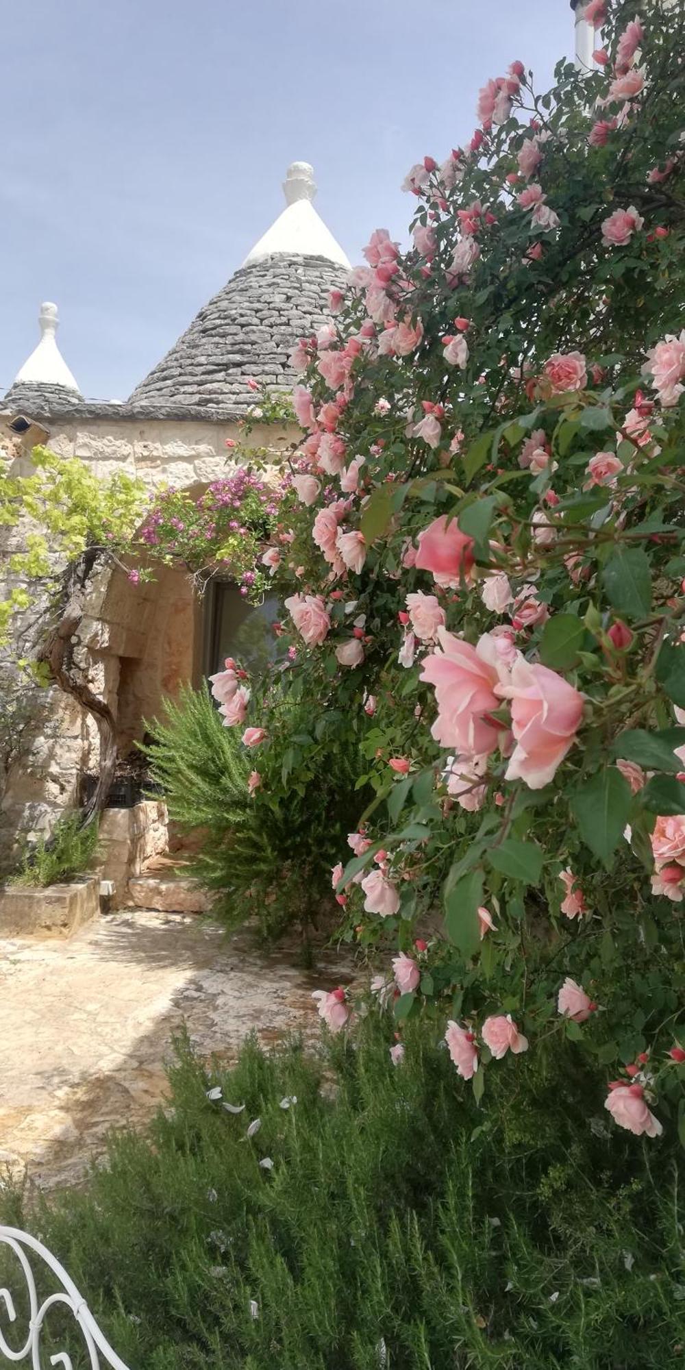 אוסטוני B&B Giovannarolla Green House מראה חיצוני תמונה