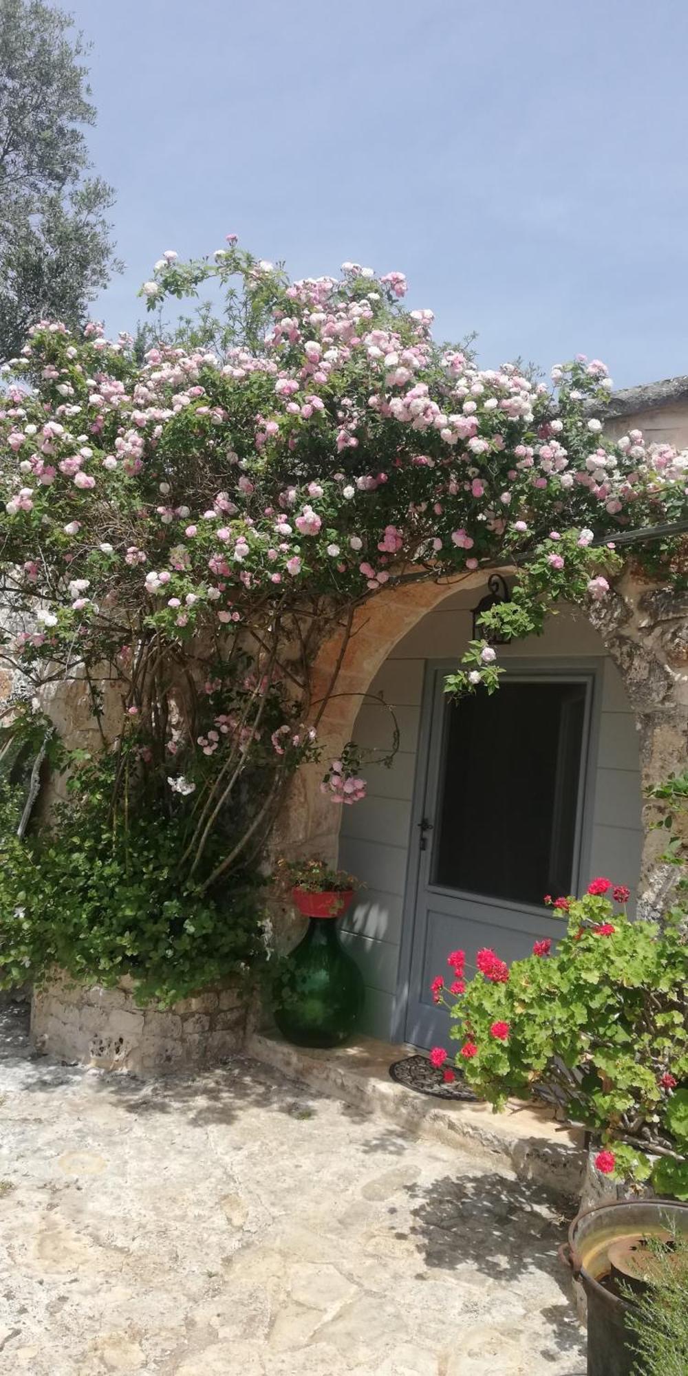 אוסטוני B&B Giovannarolla Green House מראה חיצוני תמונה