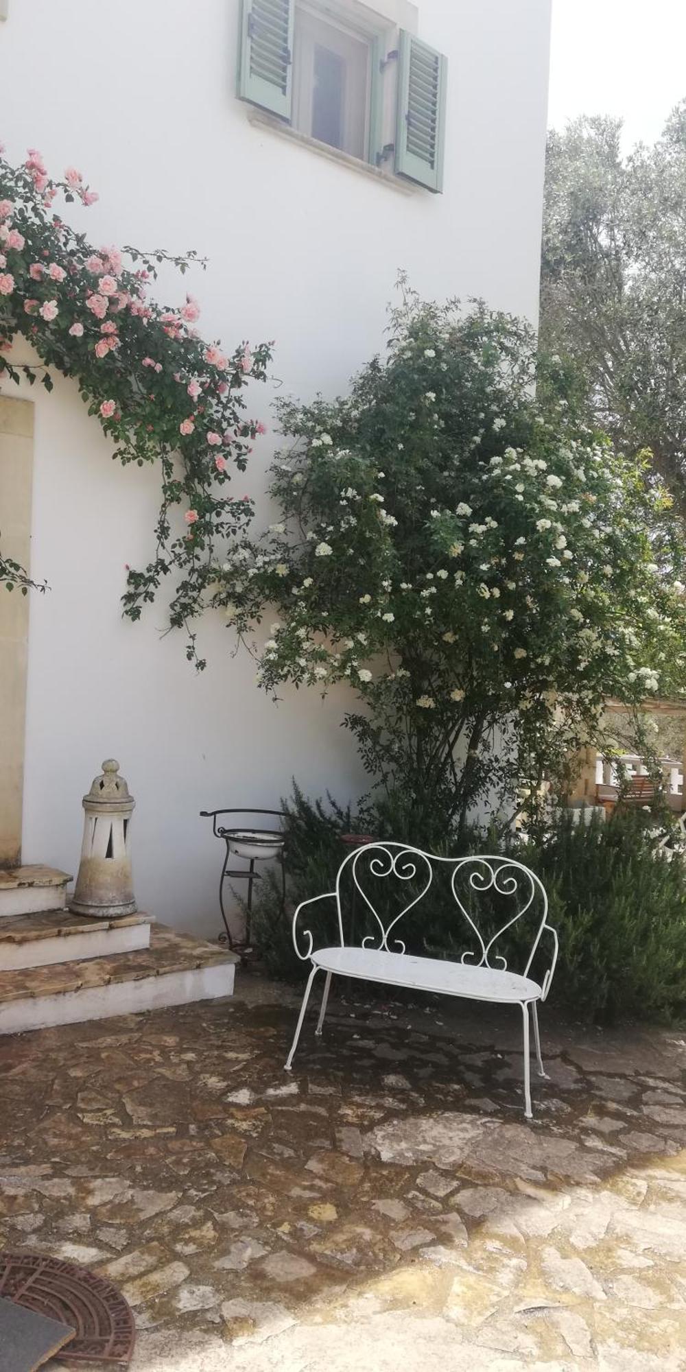 אוסטוני B&B Giovannarolla Green House מראה חיצוני תמונה